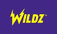 Wildzy Casino logo